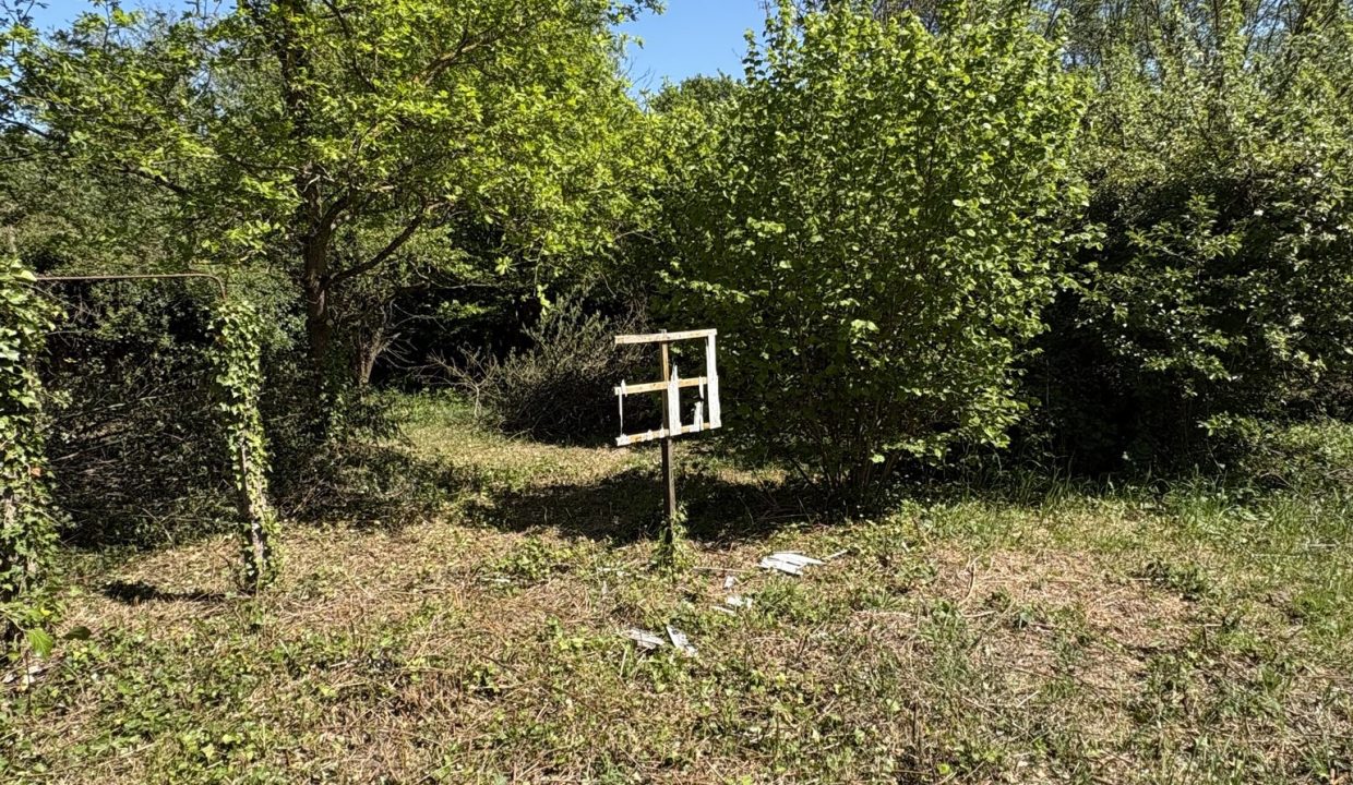 687645338_2765438157170930_7966837489493419037_n